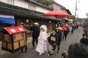 真庭のお雛祭り満喫ツアー〜北房雛の文化祭り・湯原温泉お雛まつり〜