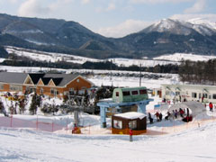 蒜山ベアバレースキー場